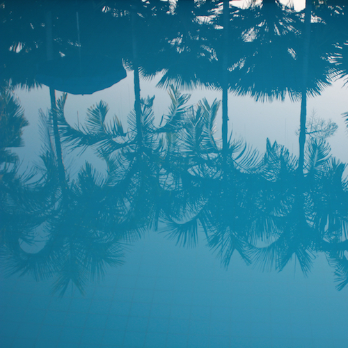 Palm trees reflected in pool