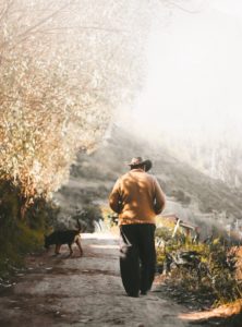 Man Walking with Dog - Standards Too High - Introverted Alpha