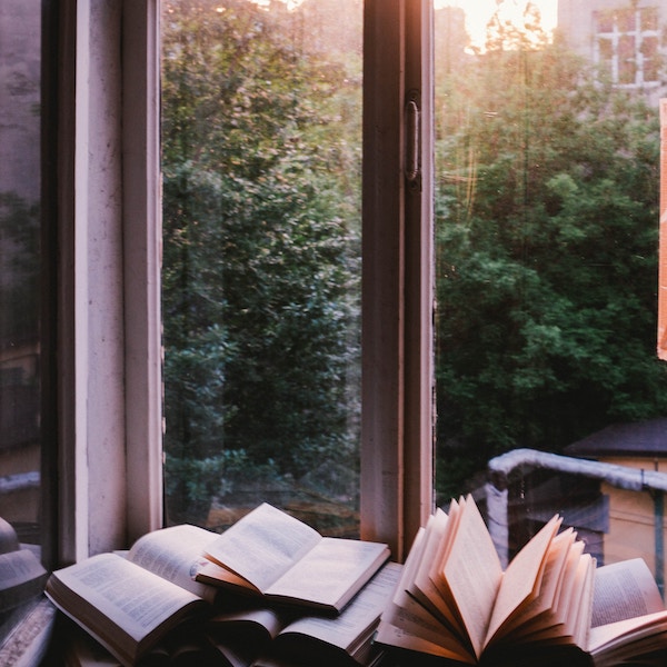 Books lying open in front of window
