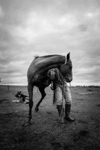 Man With Horse - Masculine Energy